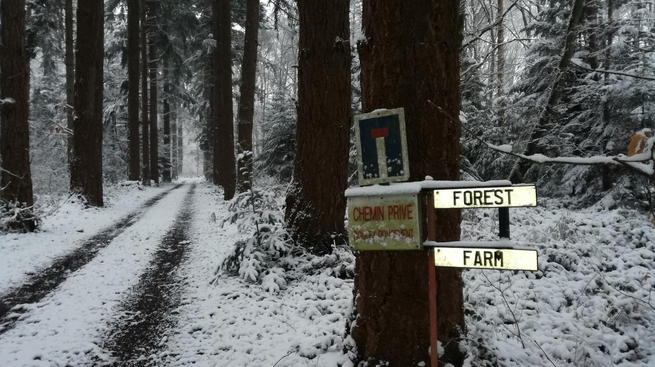 Forest Farm Bois-Jerome-Saint-Ouen Εξωτερικό φωτογραφία